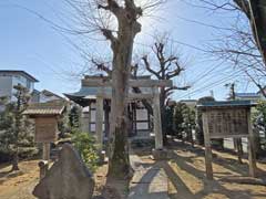 八坂大神鳥居