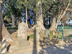 大青田妙見神社境内青面金剛