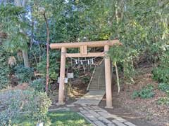 中新宿富士浅間神社鳥居