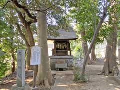 高田熊野神社境内社大杉神社