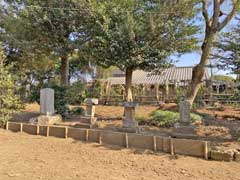 鷲野谷星神社境内石祠