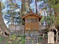 塚崎神明社境内社大杉神社