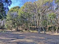 増尾城址