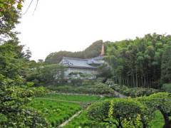 本土寺境内