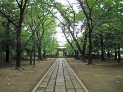 東漸寺参道