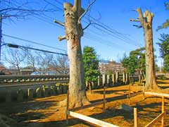 幸田香取駒形神社境内石祠群