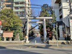 松戸神社鳥居