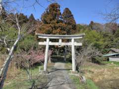 長谷神社鳥居