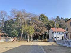 流山赤城神社社叢