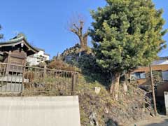 流山浅間神社富士塚