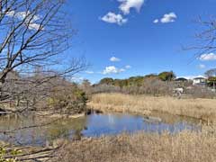 旧鴇田家住宅のある実籾本郷公園