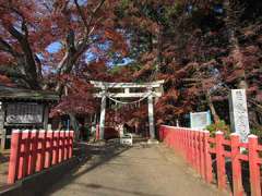 麻賀多神社鳥居