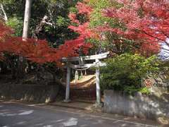 境内金刀比羅神社