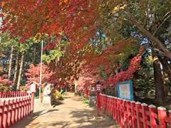 麻賀多神社参道