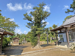 西福寺境内木