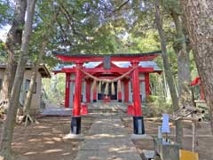 青菅稲荷神社鳥居