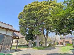 城九頭龍宮神社境内木