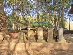 宮本山王神社境内青面金剛・庚申塔