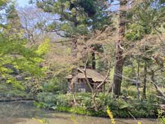 時崎弁天神社境内木