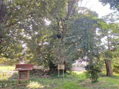 六崎貴船神社境内出羽三山石塔