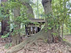 大佐倉麻賀多神社境内社妙見社