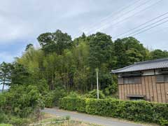 大佐倉麻賀多神社社叢