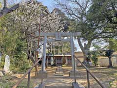 臼井稲荷神社鳥居