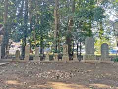 根諏訪神社境内庚申塔石祠群