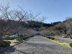 安房神社境内参道