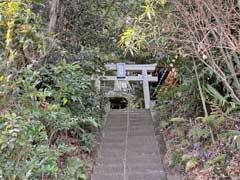 小池安房神社鳥居