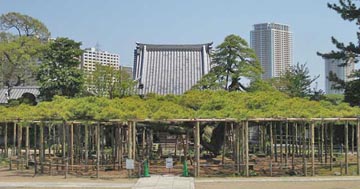 影向の松善養寺