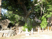 船堀日枝神社拝殿