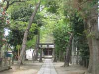 松本天祖神社鳥居