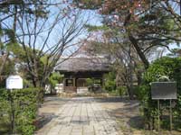 大雲寺参道