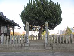 西本川浜恵美須神社参道