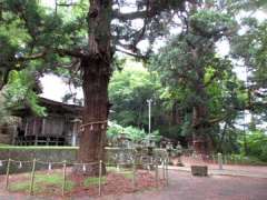 配志和神社御朱印