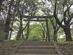 田村神社鳥居