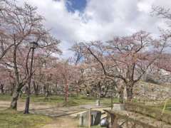 盛岡城跡公園腰曲輪