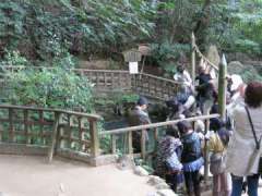 八重垣神社鏡の池