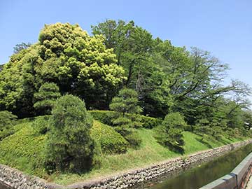 鑁阿寺堀と土塁