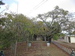 東光寺山門