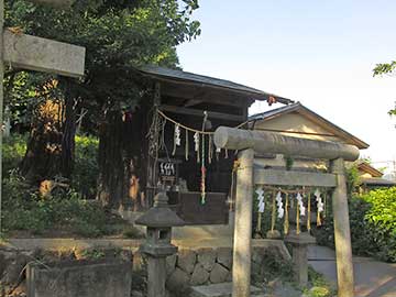 總社八雲神社境内社