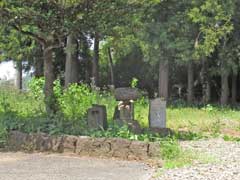 駒場星宮神社境内石祠群