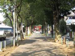 上赤塚氷川神社参道