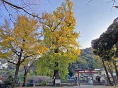 室生神社境内社