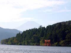 箱根神社の社叢