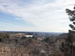 長谷寺からの景色