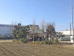 下沖御霊神社社叢