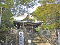 藤沢白旗神社