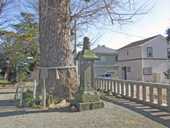 大神寄木神社御神木と石塔